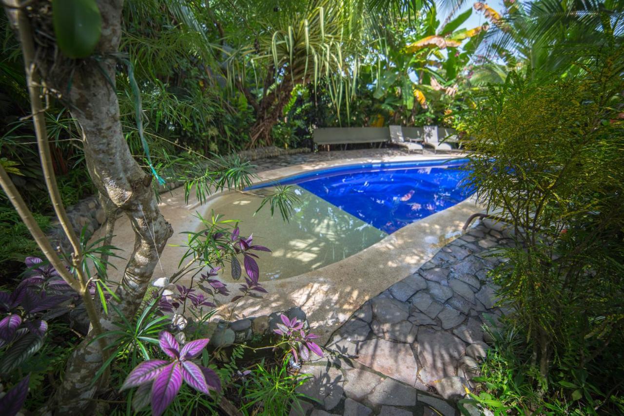 Villas Oasis Manuel Antonio Bagian luar foto